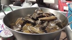 Feria gastronómica migrante en Tijuana