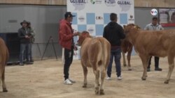 Principal feria agropecuaria de Colombia destaca los avances en el desarrollo rural 