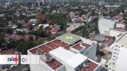 OMS aclara que mexicano no murió por nueva cepa de virus aviar