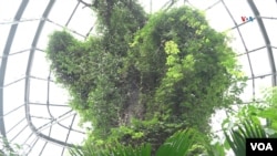 Tropicario del Jardín Botánico de Bogotá