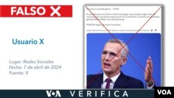 La cita comenzó a circular el mismo día en que el Secretario General de la OTAN, Jens Stoltenberg, estuvo en un programa emitido por la BBC. Diseño: Mila Cruz.