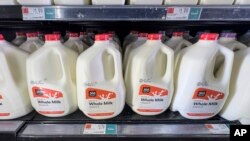 Leche entera a la venta en una tienda de comestibles Whole Foods, el 19 de enero de 2024, en Nueva York. Una canasta típica de alimentos cuesta ahora un 20 % más que en febrero de 2021, justo antes de que la inflación comenzara a despegar en EEUU. ​