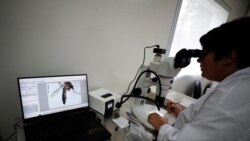 Honduras extrema medidas de previsión frente al avance del dengue
