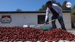  Un café de especialidad para paladares exigentes