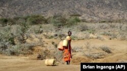ARCHIVO- Una mujer samburu va a buscar agua durante una sequía el condado de Samburu, Kenia,el 16 de octubre de 2022. 