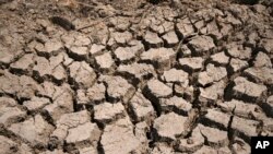 Se observa lodo seco agrietado en un embalse comunitario que quedó casi vacío después de que su muro de contención comenzó a gotear y el clima cálido y las condiciones de sequía aceleraron la pérdida de agua en la aldea de Longquan en el municipio de Chongqing, suroeste de China, el 20 de agosto de 2022.