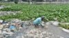ঢাকার বুড়িগঙ্গা নদী থেকে প্লাস্টিক ব্যাগ পরিষ্কার করছেন একজন কর্মী। (ছবি- এএফপি) 