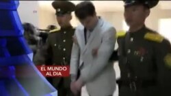 El Mundo al Día