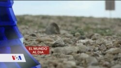 El Mundo al Día