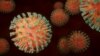La cepa XE es una "recombinación" de dos sublinajes de la variante ómicron del nuevo coronavirus.