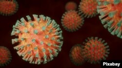 La cepa XE es una "recombinación" de dos sublinajes de la variante ómicron del nuevo coronavirus.