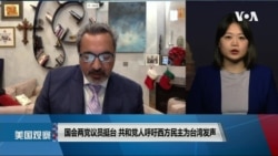 国会两党议员挺台 共和党人呼吁西方民主为台湾发声