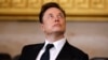 La Casa Blanca dice que Musk es un "empleado gubernamental especial" 