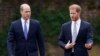 Prince Harry’s New Book Details Fight with Brother William