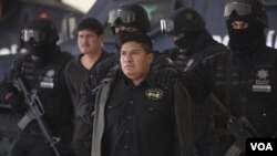 México asegura que no existe colaboración porque se trata de dos tipos de actividades criminales distintas.