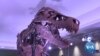 WATCH: World's Most Popular Dinosaur Transforms at Chicago's Field Museum