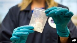 在维吉尼亚州斯特林的美国药品管理局(DEA)特别检测与研究实验室，展示了一袋在缉毒行动中缴获的芬太尼。