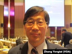 台湾政治大学国际关系研究中心主任丁树范(资料照片)