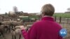 US Farmers Counting on Passage of US, Canada, Mexico Trade Agreement