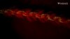Corals May Have Been First Glow-in-the-Dark Animals