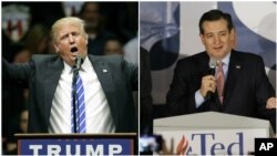 Donald Trump y Ted Cruz son los que esperan sumar el mayor número de delegados