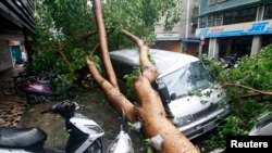 7月13日苏力台风袭击台湾连根拔起的树木压坏汽车