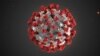 Ilustración proporcionada por los Centros para el Control y la Prevención de Enfermedades, muestra el nuevo coronavirus 2019 (2019-nCoV). Este virus fue identificado como la causa de un brote de enfermedad respiratoria detectado por primera vez en Wuhan, China.