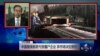 VOA连线：中国继续救助亏损僵尸企业，弃市场决定原则