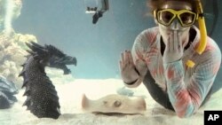 Kinsley Boyette, assistant director of the Aquarium and Shark Lab by Team ECCO, poses in this undated photo next to Charlotte, a round stingray, in the American town of Hendersonville, North Carolina. (Aquarium and Shark Lab by Team ECCO via AP)