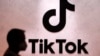 Albania cierra TikTok por un año ante preocupaciones sobre la violencia entre los niños