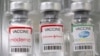 Frascos de las vacunas contra el COVID-19 de los laboratorios Moderna, Johnson & Johnson y Pfizer BioTech.