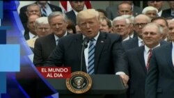 El Mundo al Día