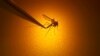 Climate Change Mosquito Diseases