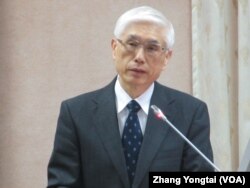 台湾卫生福利部副部长林奏延 (美国之音张永泰拍摄)