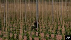 La pandemia de coronavirus ha traído tiempos difíciles a muchos agricultores y ha puesto en peligro la seguridad alimentaria de muchos millones tanto en las ciudades como en el campo.
