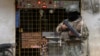 El gobierno de Ecuador ofrece la construcción de cárceles de alta seguridad para delincuentes y así lograr restaurar la paz en el país.
