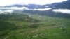 花莲罗东有机村的稻田全景 (美国之音木风拍摄)