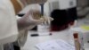 Zika: propagación masiva en EE.UU. es “poco probable”