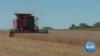 Ukraine War Helping, Hurting US Farmers