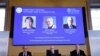 El Nobel de Química premia la combinación de moléculas