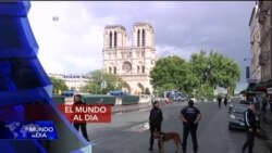 El Mundo al Día