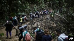 ARCHIVO - El cruce de migrantes por la selva del Darien entre Panamá y Colombia se ha convertido en uno de los puntos críticos y más peligrosos de las rutas migratorias. 