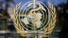 OMS confirma primera muerte humana por gripe aviar H5N2 en el mundo