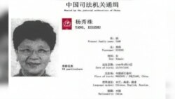 VOA连线：中国红色通缉令首犯杨秀珠非法移民案在纽约开庭
