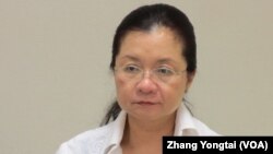 民进党立委田秋堇(美国之音张永泰拍摄)