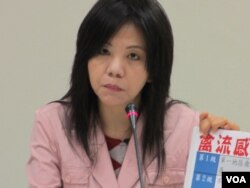 在野党民进党立委叶宜津（美国之音张永泰拍摄）