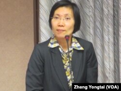执政党国民党立委徐欣莹(美国之音张永泰拍摄)