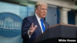 دونالد ترامپ،‌ رئیس جمهوری آمریکا