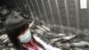 Japón: fugas de agua radioactiva