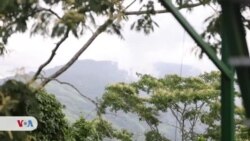 La historia de ‘un loco alemán’ que se enamoró de Venezuela